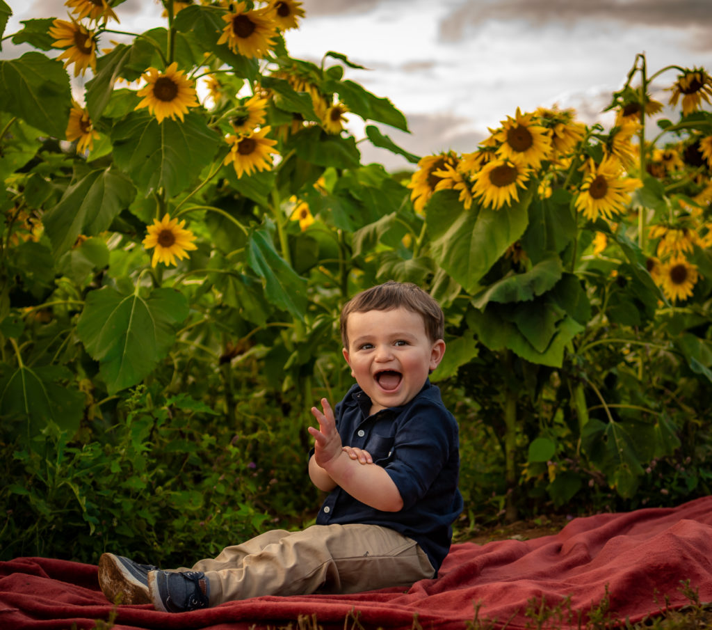 Maryland sunflower field - Baltimore family photographer