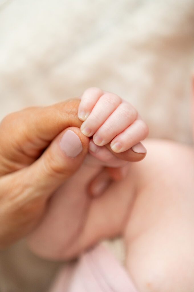 Maternity and newborn package showcase image with bump-to-baby storytelling